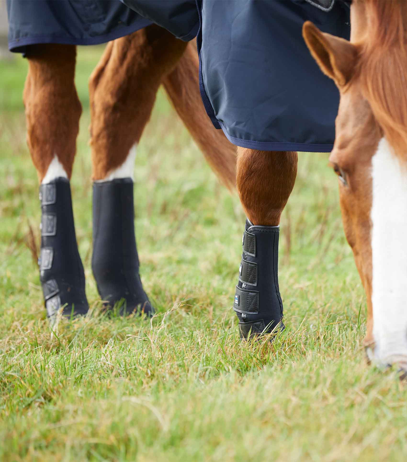 Premier Equine Turnout/ Mud Fever Boots by Premier Equine at  Try a Bit