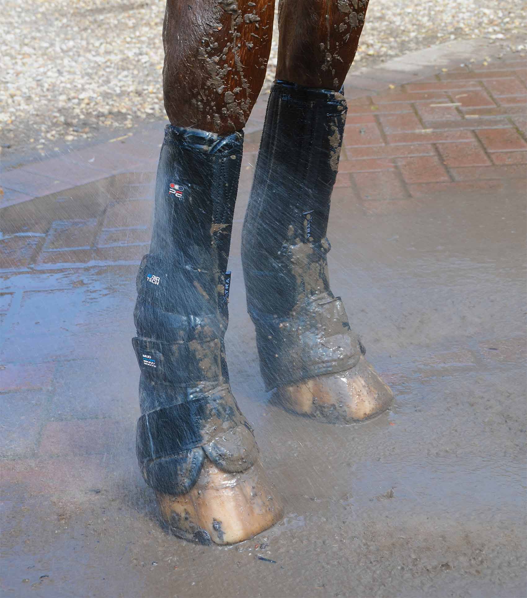 Premier Equine Turnout/ Mud Fever Boots by Premier Equine at  Try a Bit