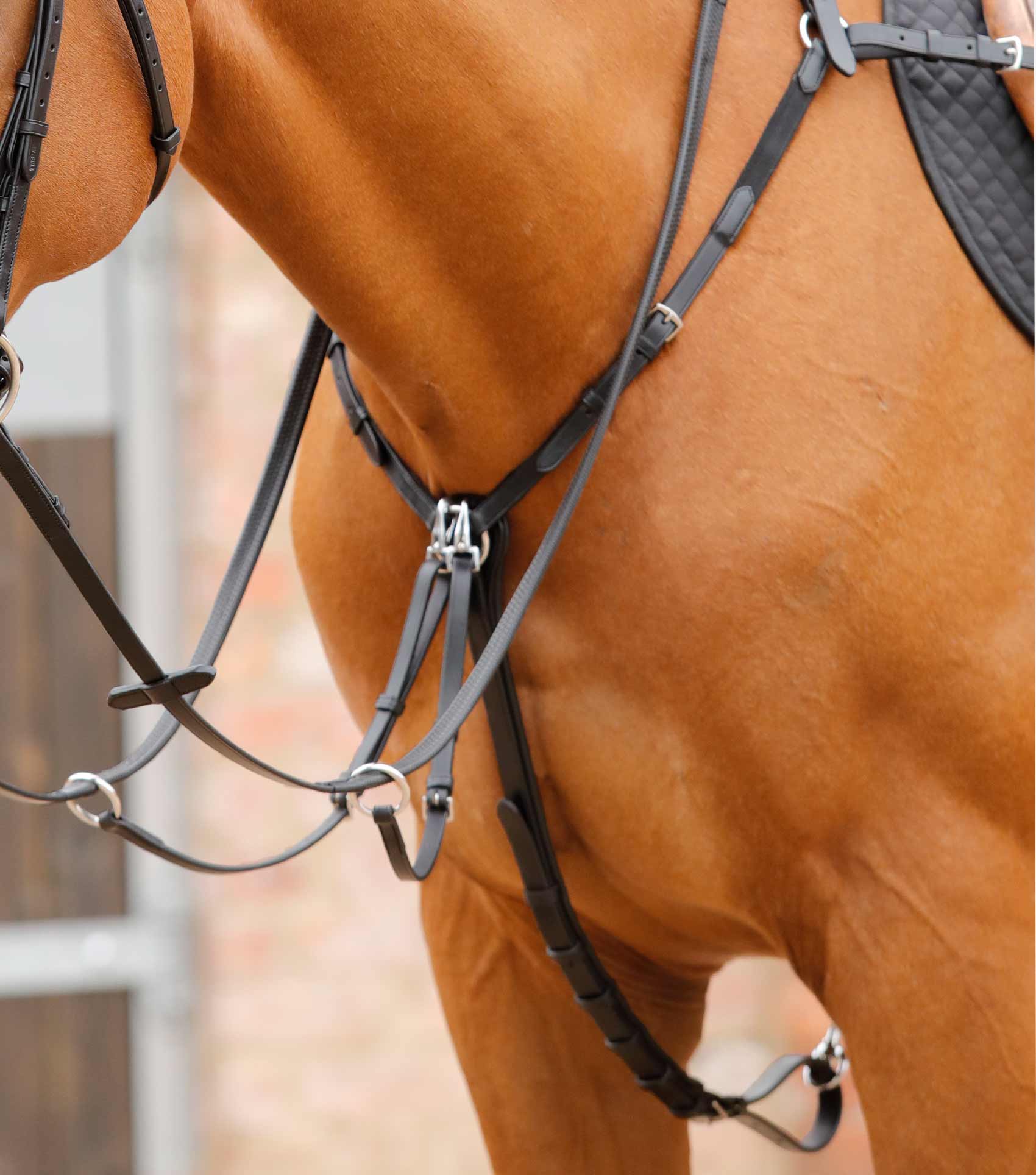 Premier Equine Valbrona Performance Breastplate by Premier Equine at  Try a Bit