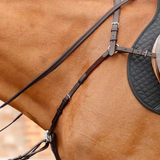 Premier Equine Valbrona Performance Breastplate by Premier Equine at  Try a Bit