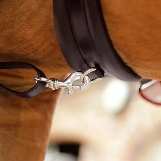 Premier Equine Valbrona Performance Breastplate by Premier Equine at  Try a Bit