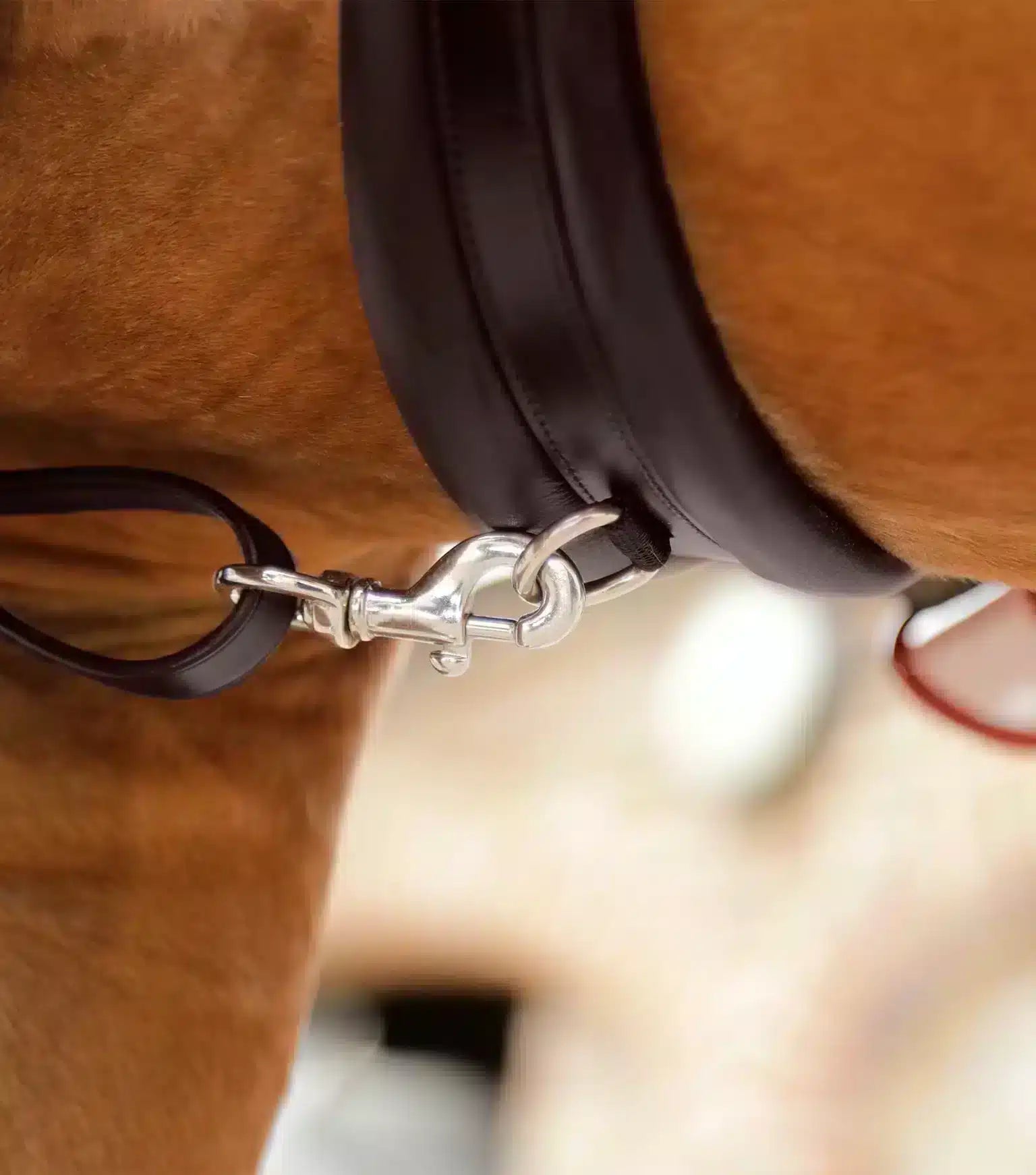 Premier Equine Valbrona Performance Breastplate by Premier Equine at  Try a Bit