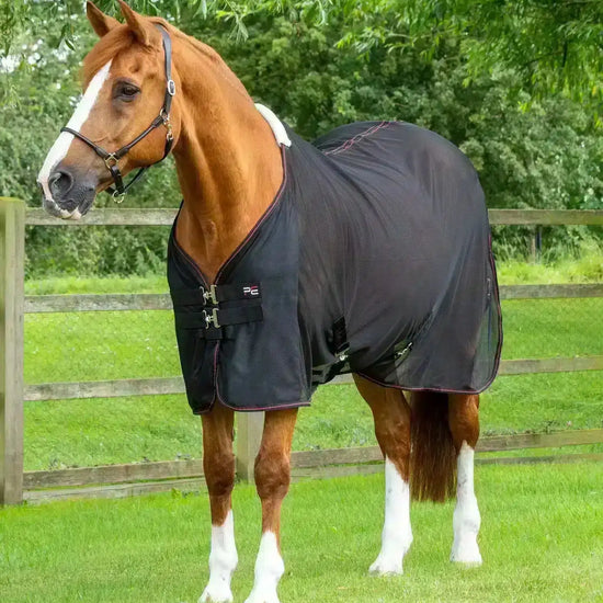 Premier Equine Ventoso Mesh Cooler by Premier Equine at  Try a Bit