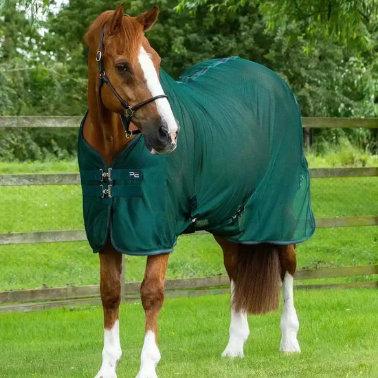 Premier Equine Ventoso Mesh Cooler by Premier Equine at  Try a Bit