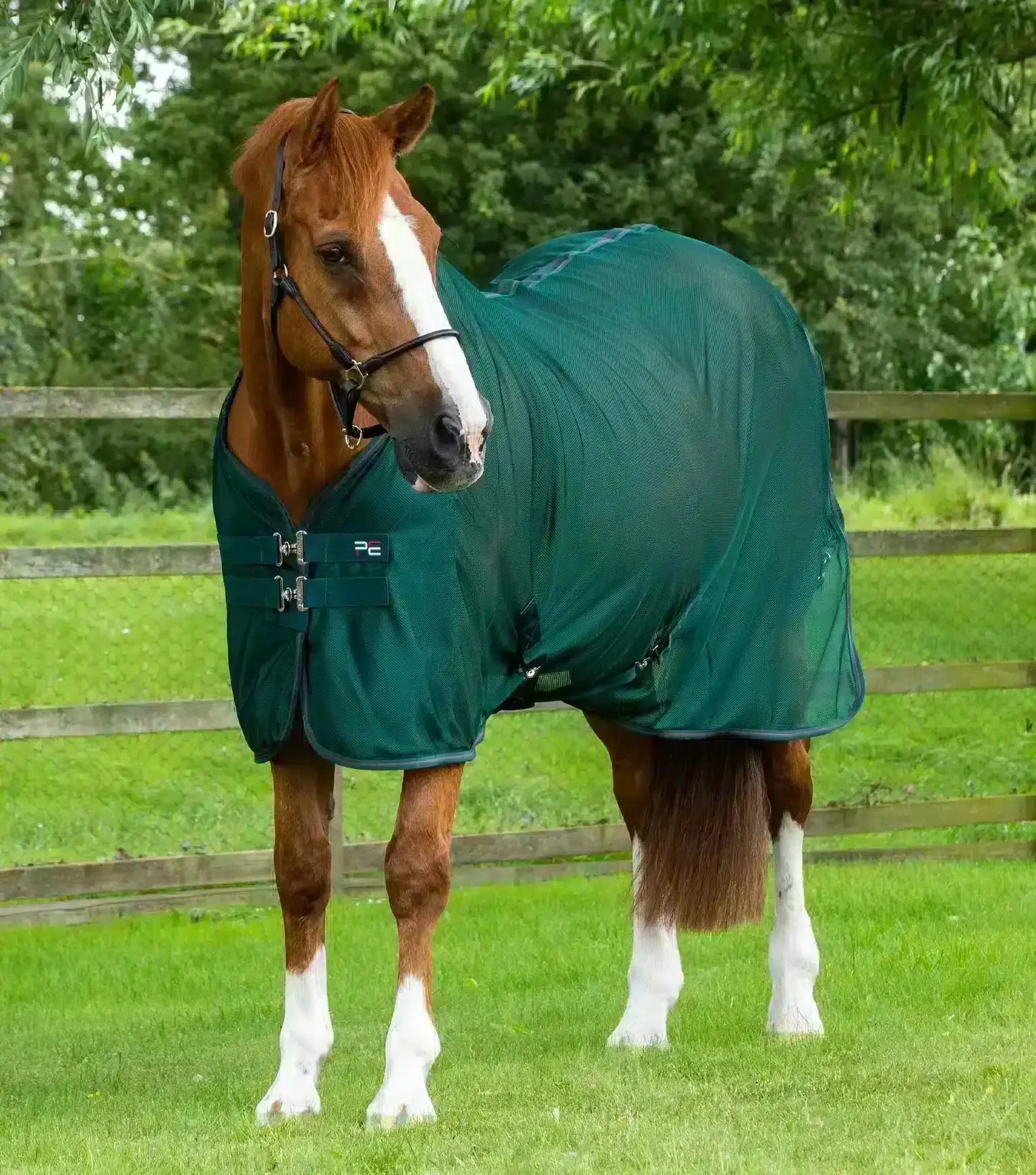Premier Equine Ventoso Mesh Cooler by Premier Equine at  Try a Bit
