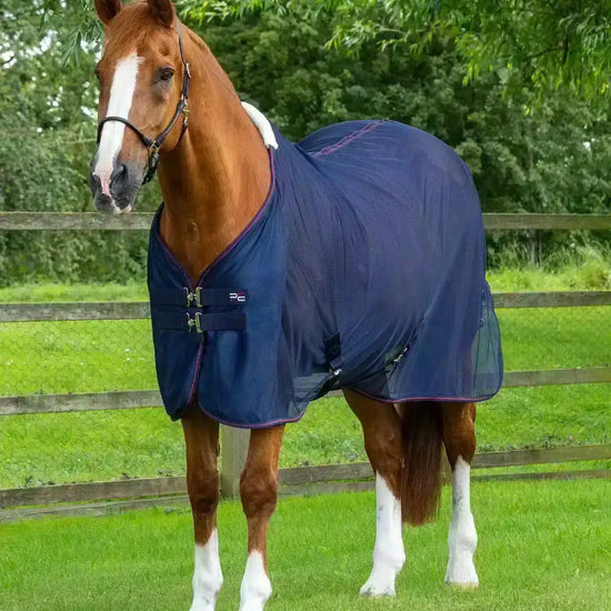 Premier Equine Ventoso Mesh Cooler by Premier Equine at  Try a Bit