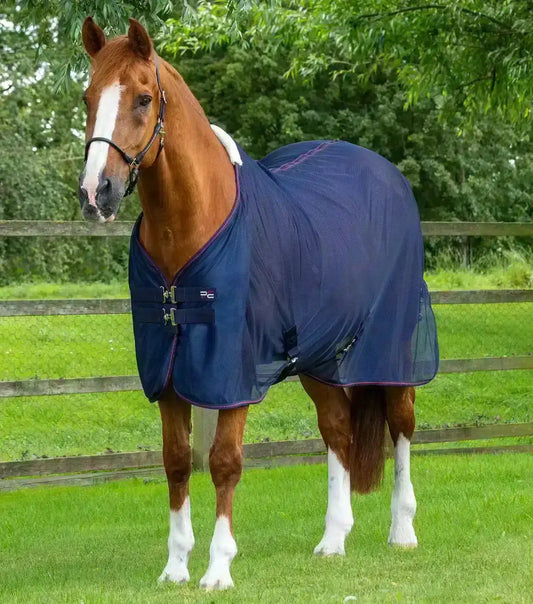 Premier Equine Ventoso Mesh Cooler by Premier Equine at  Try a Bit