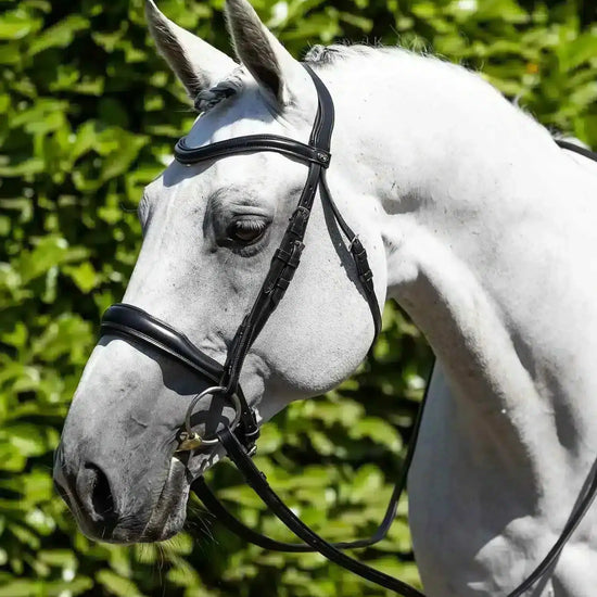 Premier Equine Verdura Anatomic Snaffle Bridle by Premier Equine at  Try a Bit