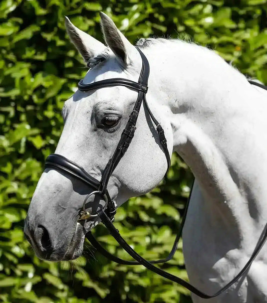 Premier Equine Verdura Anatomic Snaffle Bridle by Premier Equine at  Try a Bit