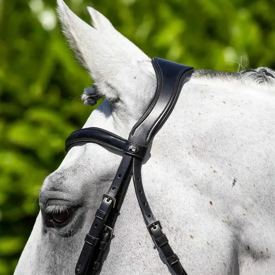 Premier Equine Verdura Anatomic Snaffle Bridle by Premier Equine at  Try a Bit
