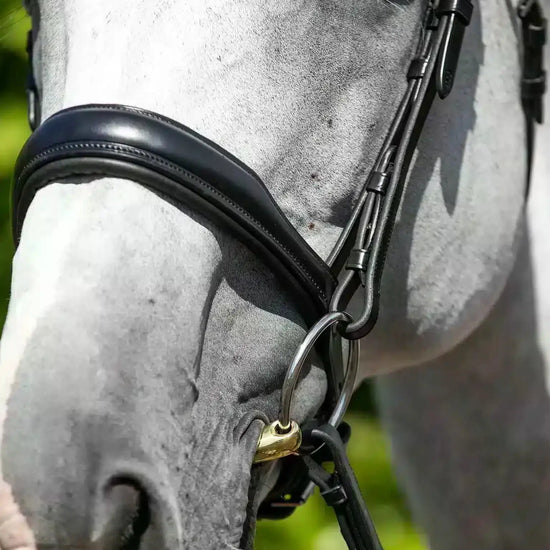 Premier Equine Verdura Anatomic Snaffle Bridle by Premier Equine at  Try a Bit