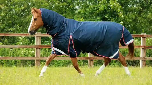 Premier Equine Buster Storm 200g Combo Turnout Rug with Snug-Fit Neck by Premier Equine at  Try a Bit
