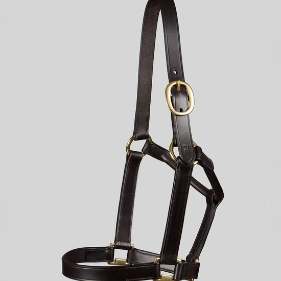 Yearling Headcollar 1" Dark Havana by Premier Equine Int. Ltd. at  Try A Bit