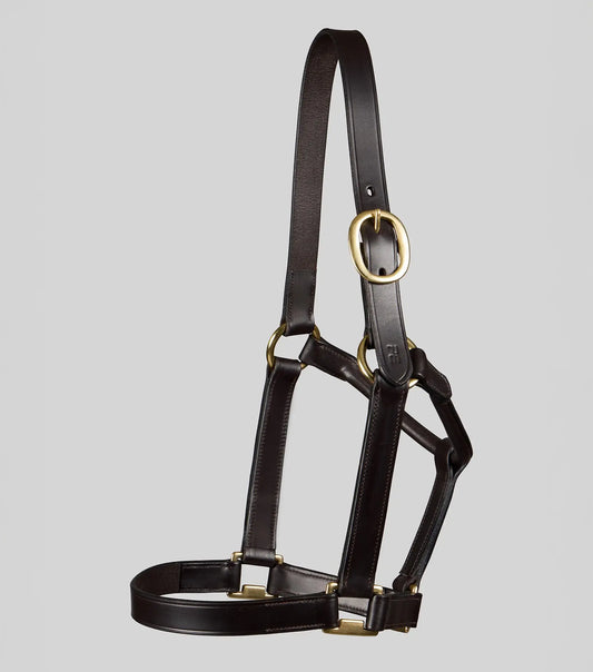 Yearling Headcollar 1" Dark Havana by Premier Equine Int. Ltd. at  Try A Bit