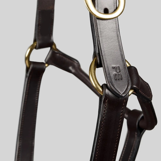 Yearling Headcollar 1" Dark Havana by Premier Equine Int. Ltd. at  Try A Bit