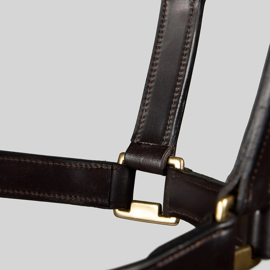 Yearling Headcollar 1" Dark Havana by Premier Equine Int. Ltd. at  Try A Bit