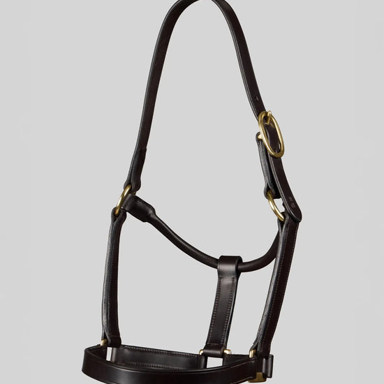 Yearling Headcollar 1" Dark Havana by Premier Equine Int. Ltd. at  Try A Bit