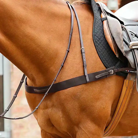 Premier Equine Zimella Elastic Breastplate by Premier Equine at  Try a Bit