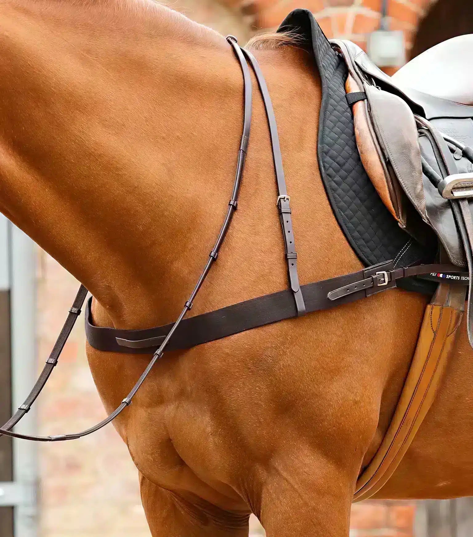 Premier Equine Zimella Elastic Breastplate by Premier Equine at  Try a Bit
