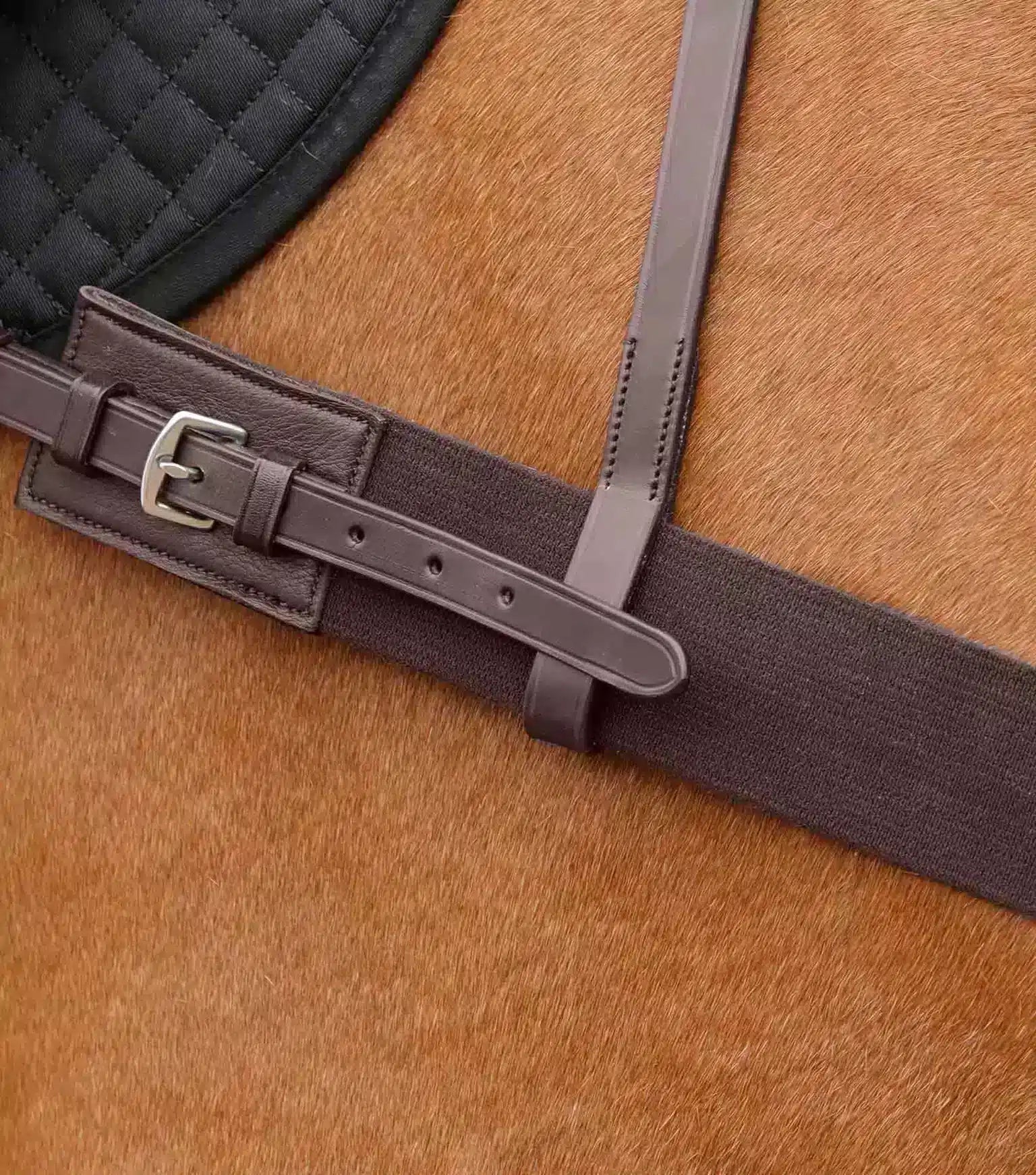 Premier Equine Zimella Elastic Breastplate by Premier Equine at  Try a Bit