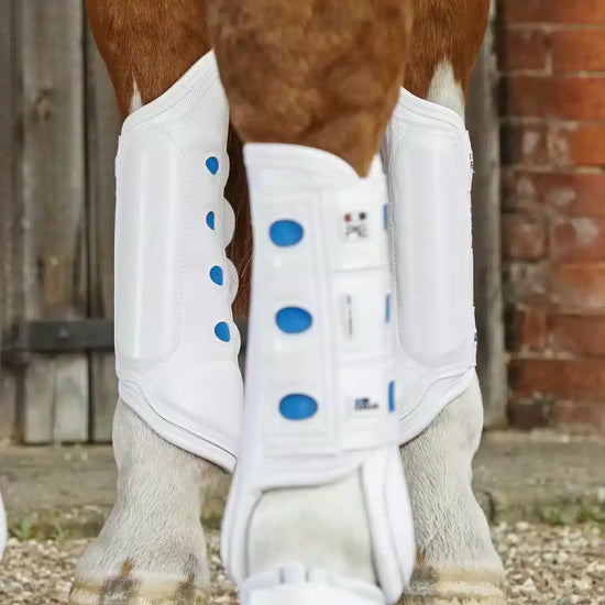 Premier Equine Air Cooled Original Eventing Boots- Hind by Premier Equine at  Try a Bit