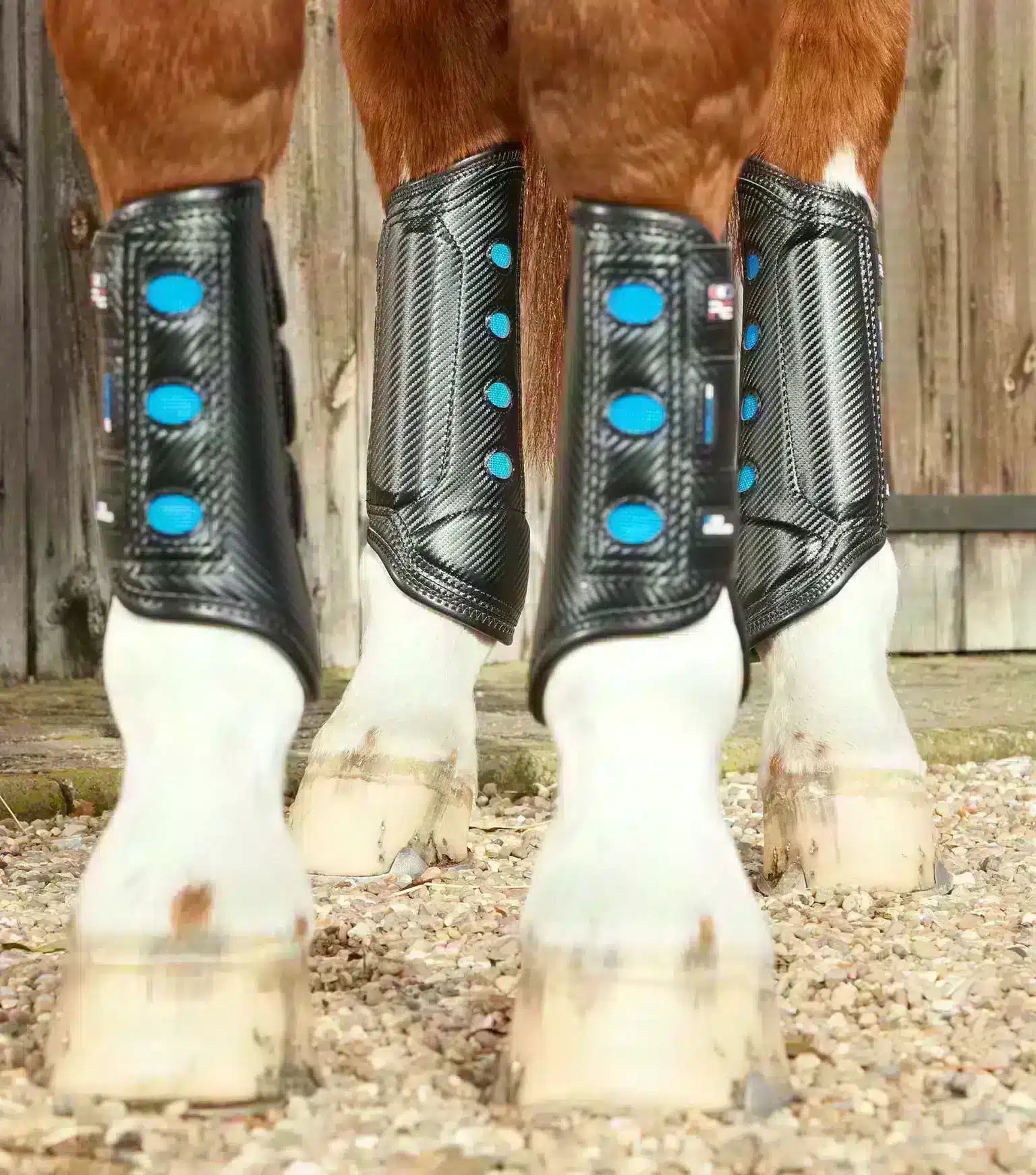 Premier Equine Air Cooled Super Lite Carbon Tech Eventing/Racing Boots by Premier Equine at  Try a Bit