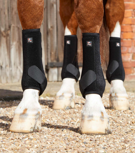 Premier Equine Air-Tech Sports Medicine Boots by Premier Equine at  Try a Bit