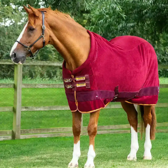 Premier Equine Buster Fleece Cooler Rug - Continental Edition by Premier Equine at  Try a Bit