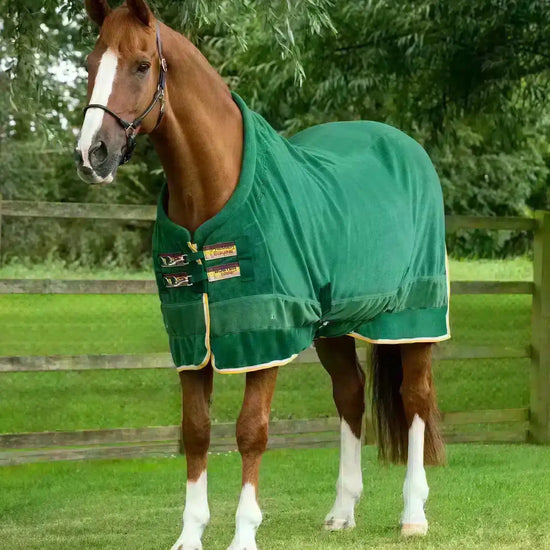 Premier Equine Buster Fleece Cooler Rug - Continental Edition by Premier Equine at  Try a Bit