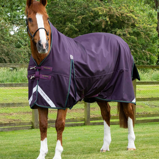 Premier Equine Buster Hardy 100g Half Neck Turnout Rug by Premier Equine at  Try a Bit