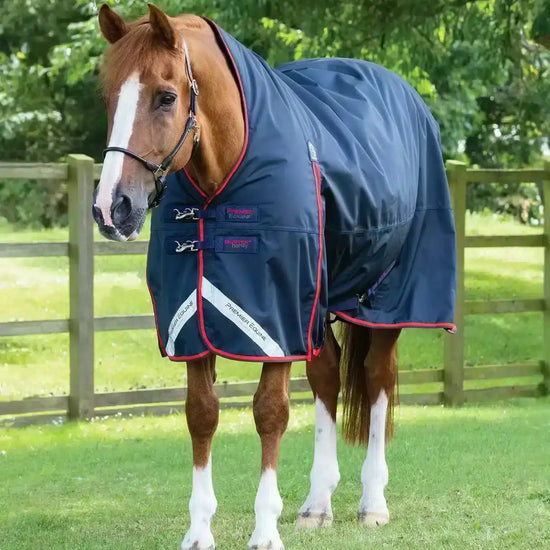 Premier Equine Buster Hardy 200g Half Neck Turnout Rug by Premier Equine at  Try a Bit