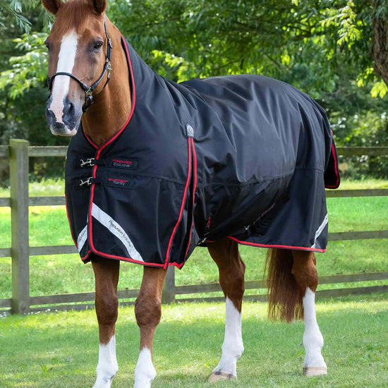Premier Equine Buster Hardy 400g Half Neck Turnout Rug by Premier Equine at  Try A Bit