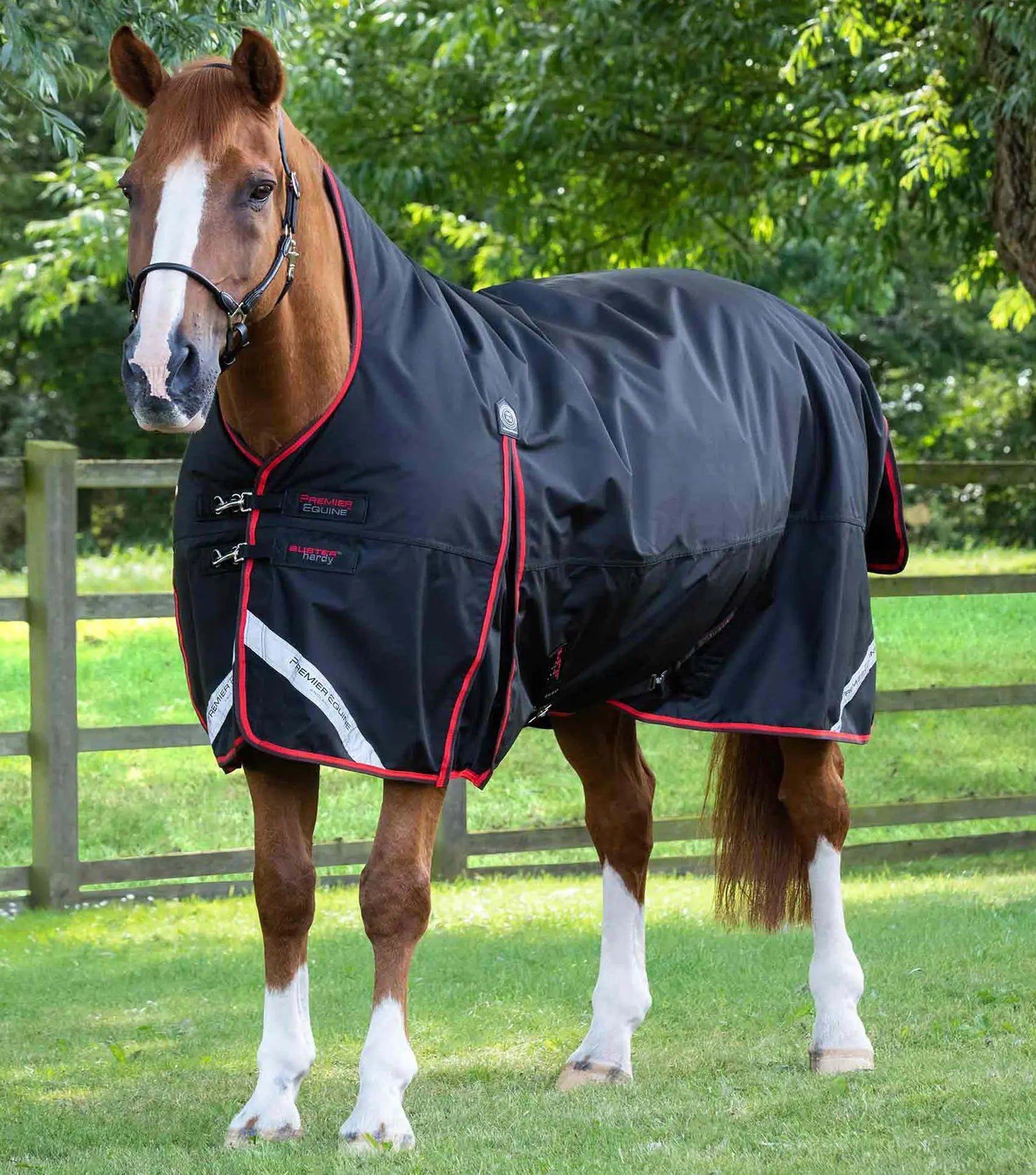 Premier Equine Buster Hardy 400g Half Neck Turnout Rug by Premier Equine at  Try A Bit