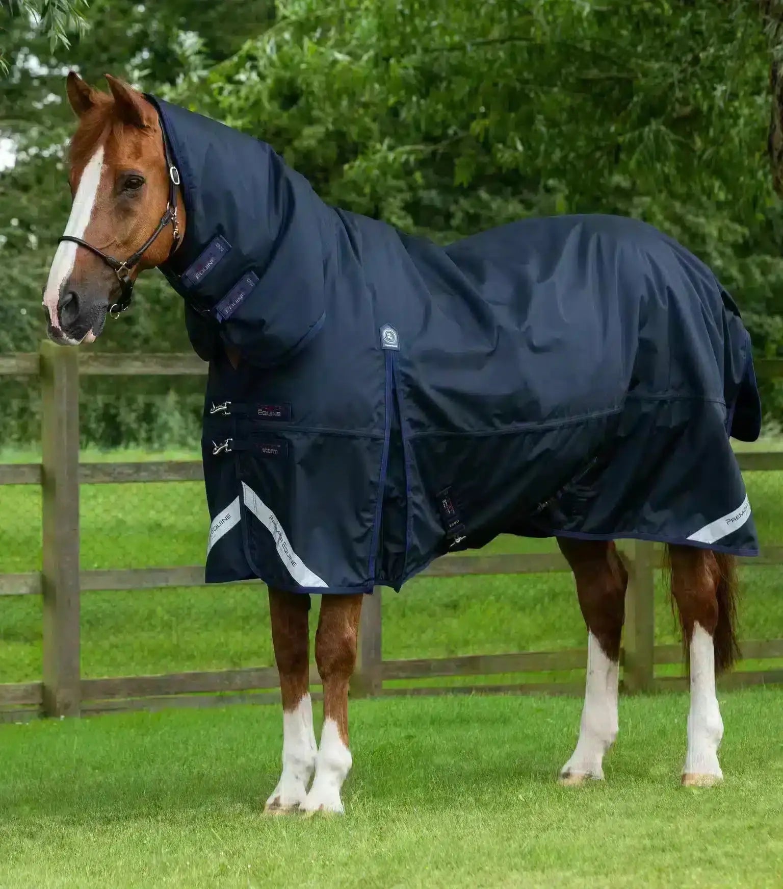 Premier Equine Buster Storm 220g Combo Turnout Rug with Classic Neck by Premier Equine at  Try a Bit