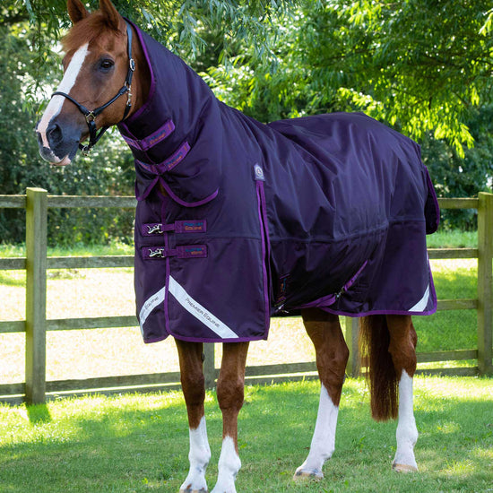 Premier Equine Buster Storm 420g Combo Turnout Rug with Classic Neck by Premier Equine at  Try a Bit