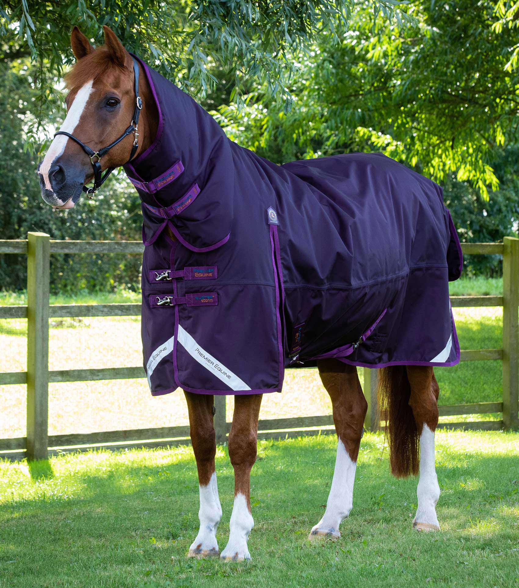 Premier Equine Buster Storm 420g Combo Turnout Rug with Classic Neck by Premier Equine at  Try a Bit