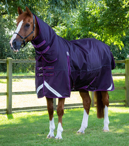 Premier Equine Buster Storm 420g Combo Turnout Rug with Classic Neck by Premier Equine at  Try a Bit