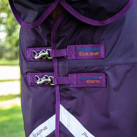 Premier Equine Buster Storm 420g Combo Turnout Rug with Classic Neck by Premier Equine at  Try a Bit