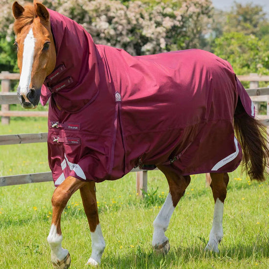 Premier Equine Buster Storm 90g Combo Turnout Rug with Classic Neck by Premier Equine at  Try a Bit