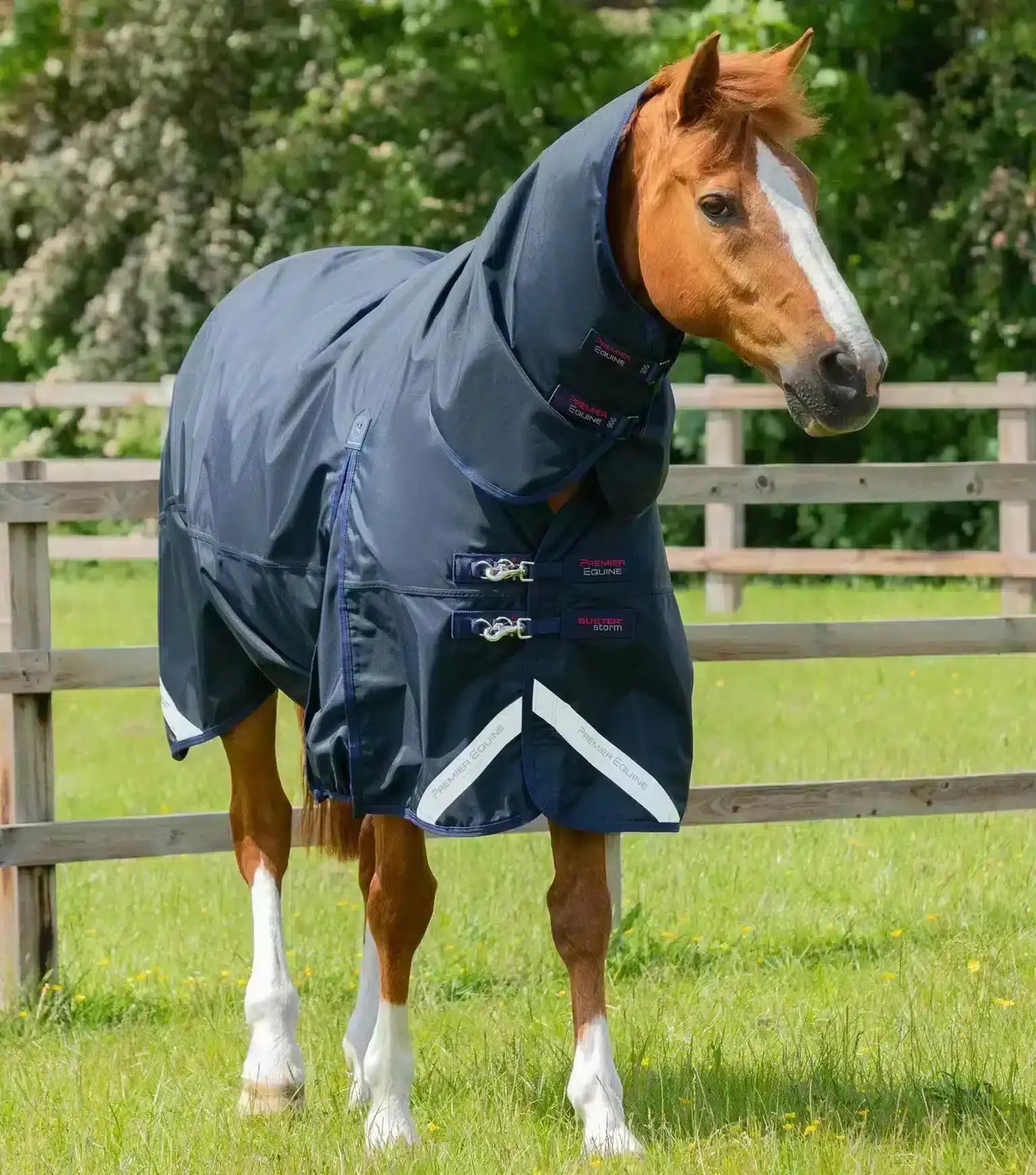 Premier Equine Buster Storm 90g Combo Turnout Rug with Classic Neck by Premier Equine at  Try a Bit