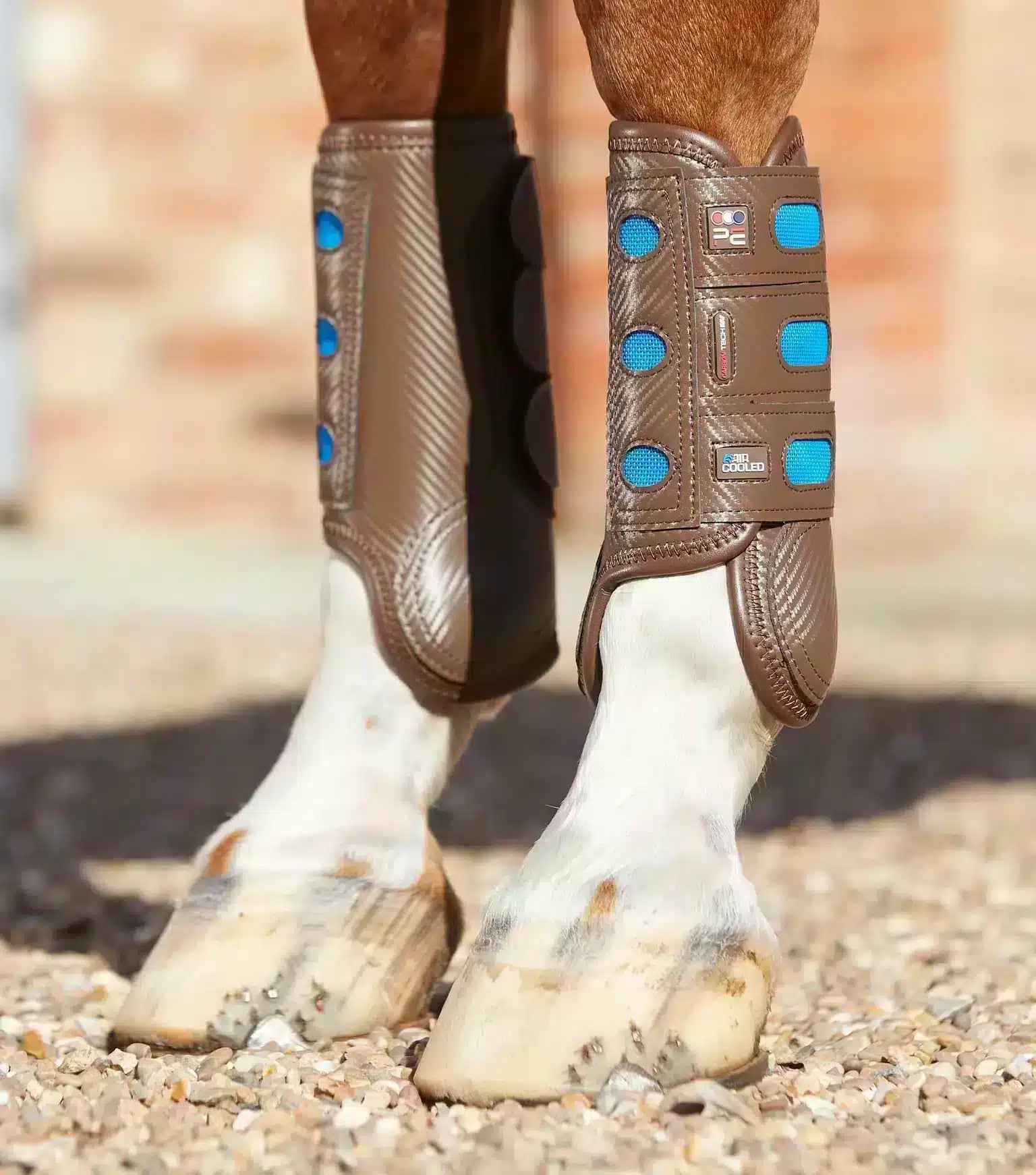 Premier Equine Carbon Tech Air Cooled Eventing Boots-Front by Premier Equine at  Try a Bit