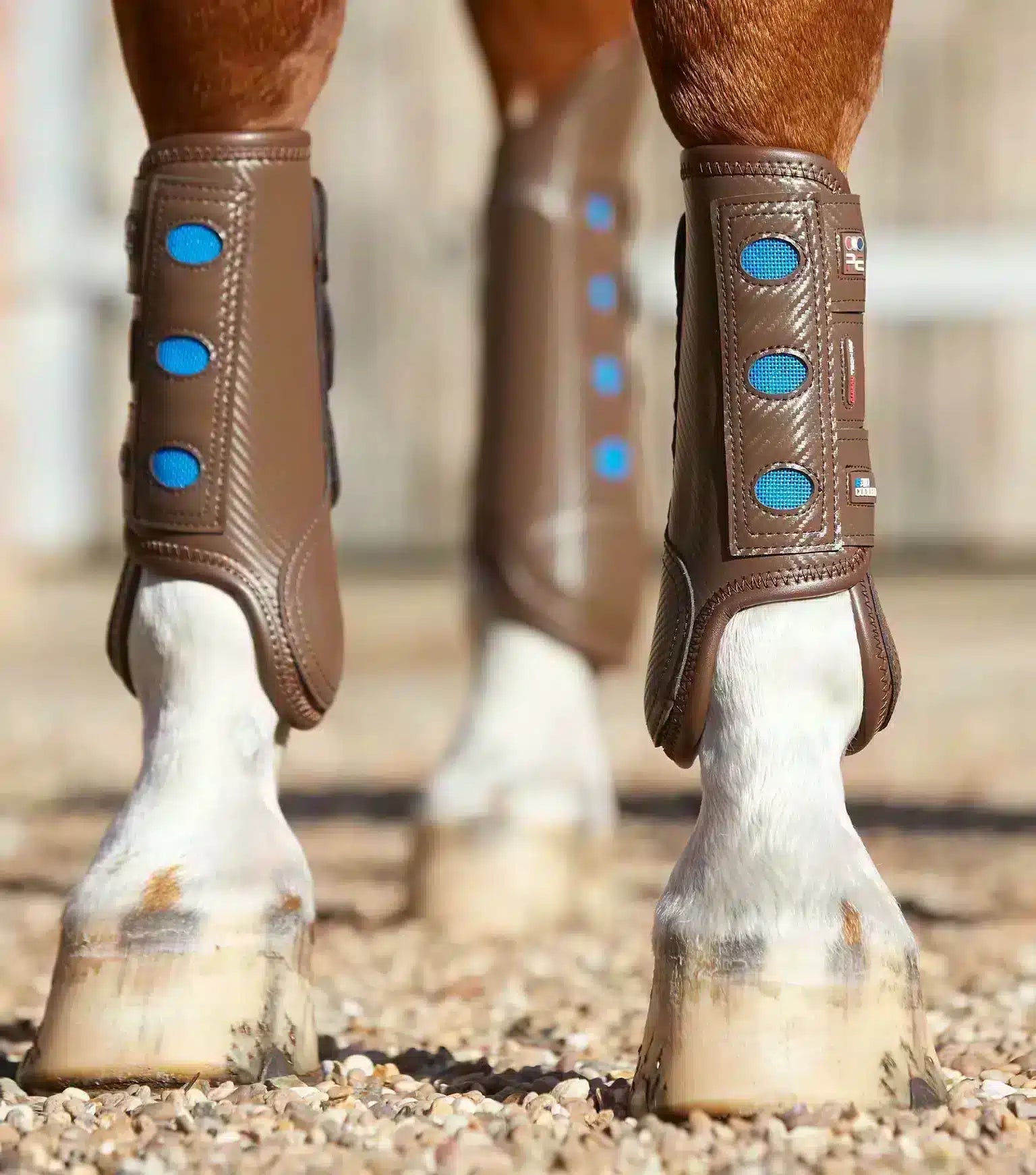 Premier Equine Carbon Tech Air Cooled Eventing Boots-Front by Premier Equine at  Try a Bit