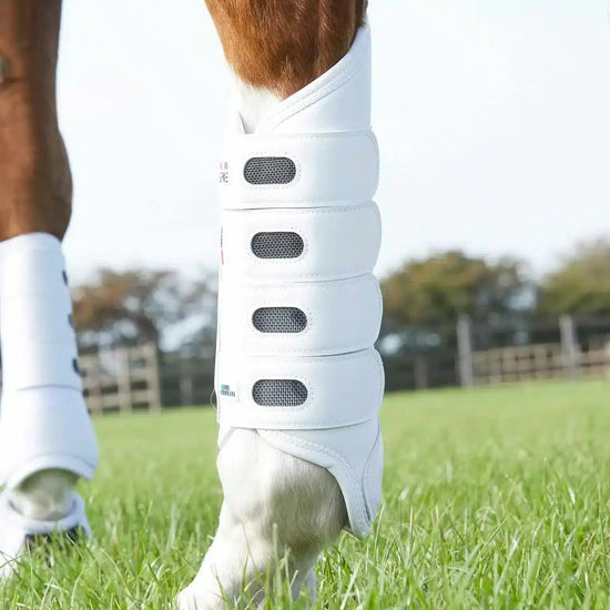 Premier Equine Carbon Tech Air Cooled Eventing Boots- Hind by Premier Equine at  Try a Bit