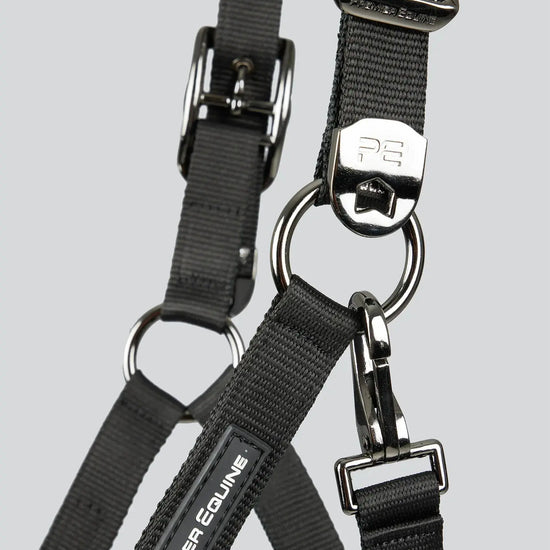 Corda Padded Head Collar with Lead Rope Brown by Premier Equine Int. at  Try A Bit