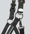 Corda Padded Head Collar with Lead Rope Brown by Premier Equine Int. at  Try A Bit