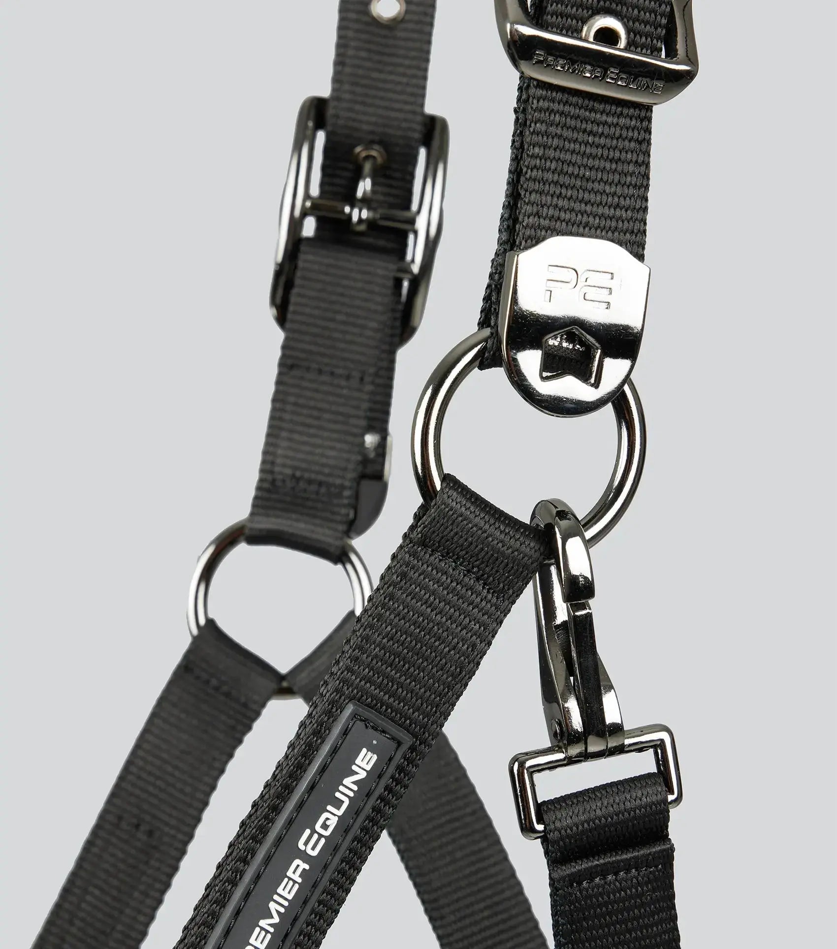 Corda Padded Head Collar with Lead Rope Brown by Premier Equine Int. at  Try A Bit