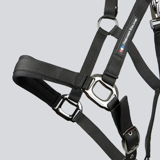 Corda Padded Head Collar with Lead Rope Brown by Premier Equine Int. at  Try A Bit