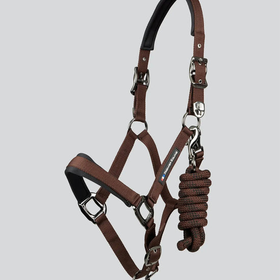 Corda Padded Head Collar with Lead Rope Brown by Premier Equine Int. at  Try A Bit