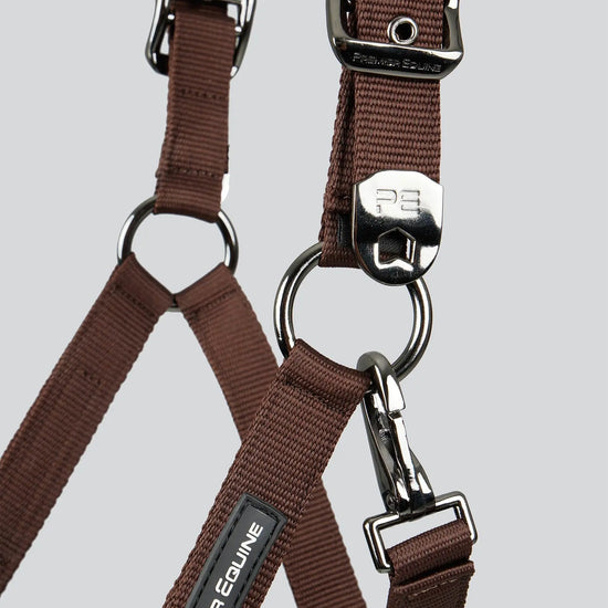 Corda Padded Head Collar with Lead Rope Brown
