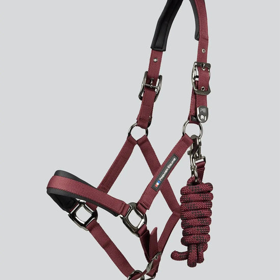 Corda Padded Head Collar with Lead Rope Brown by Premier Equine Int. at  Try A Bit